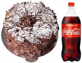 4-6 Kişilik Parça Çikolatalı Pasta En Güzel pasta